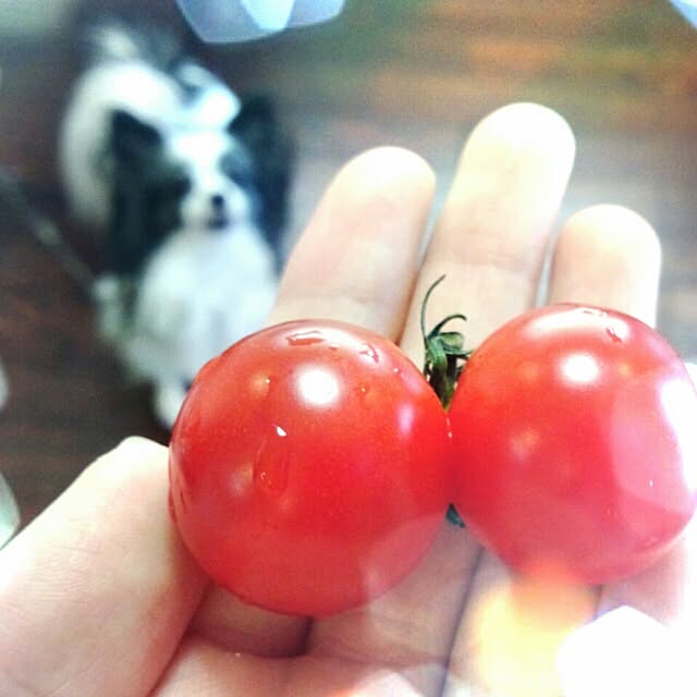 soraさんの実例写真