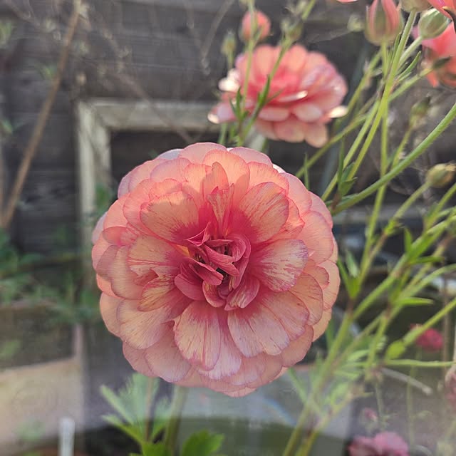 min_nimさんの実例写真