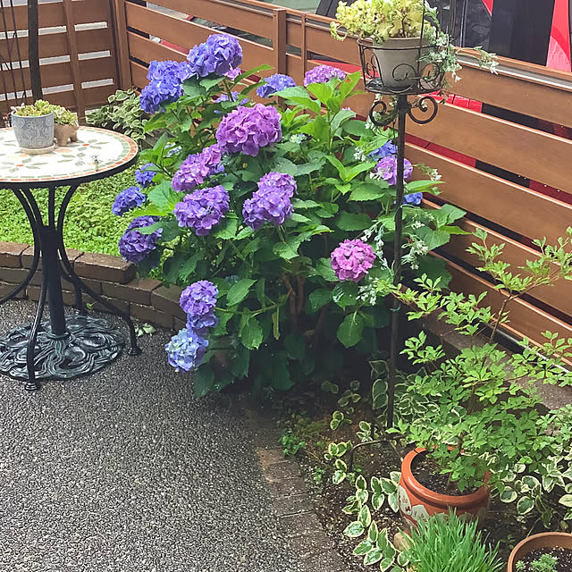 haruminさんの部屋
