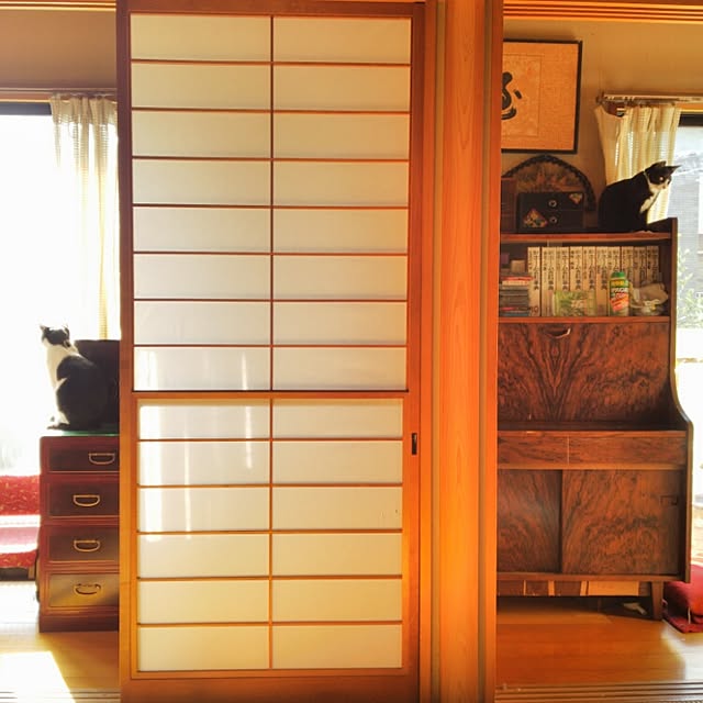 ebichiriさんの実例写真
