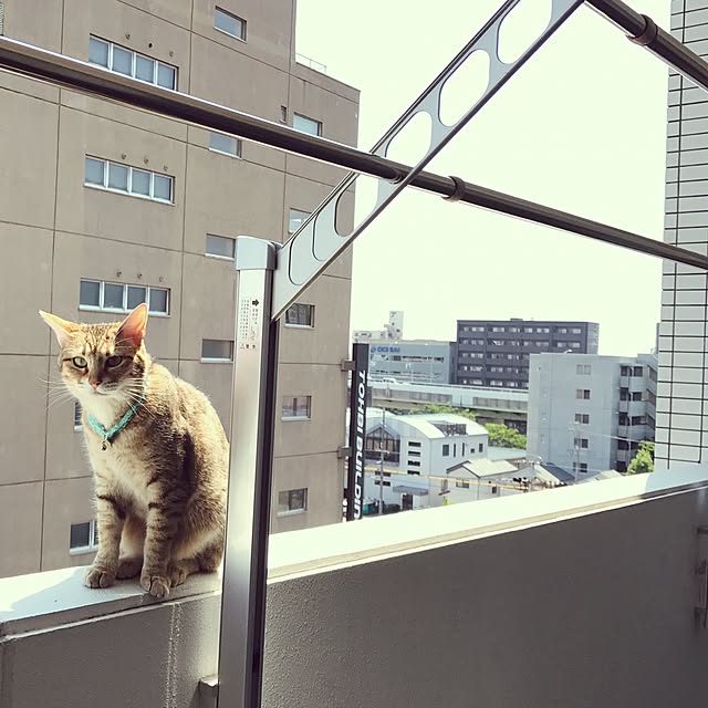1633さんの実例写真
