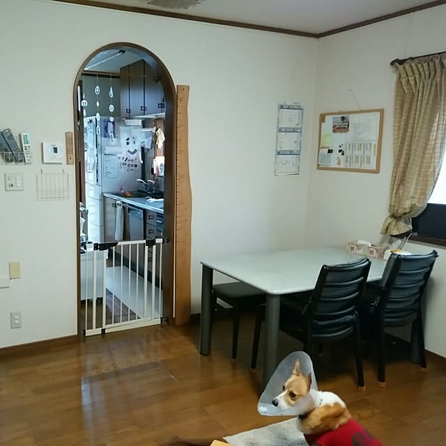 cohakuさんの実例写真