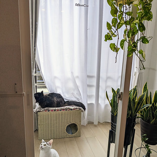 kumiさんの実例写真