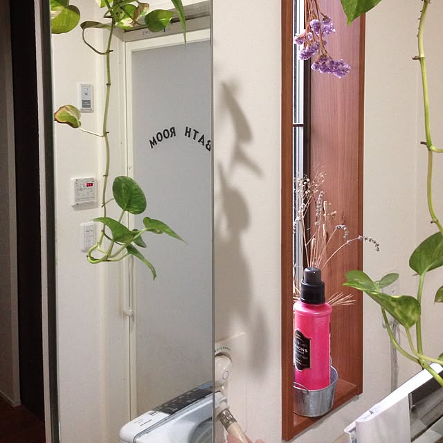 kazuさんの実例写真