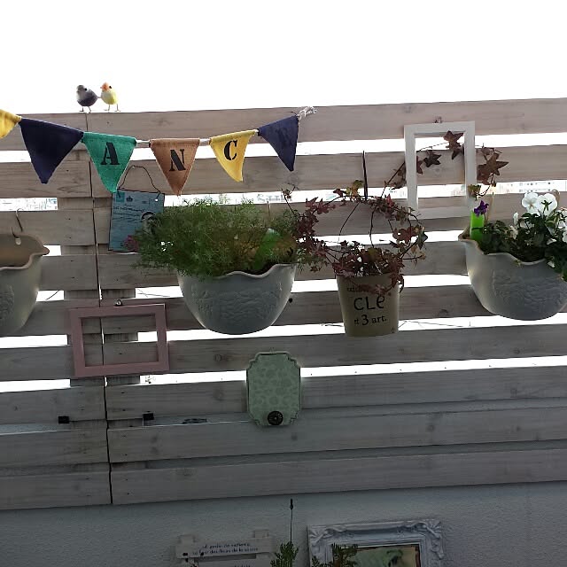 cottonさんの実例写真