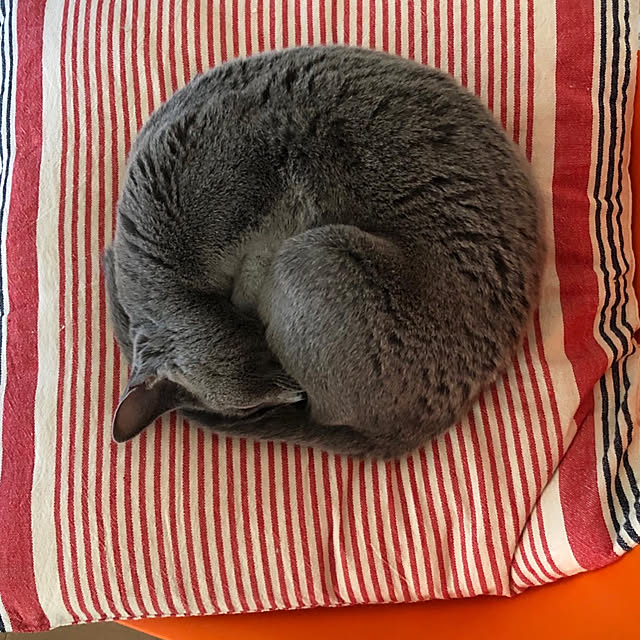 meさんの実例写真