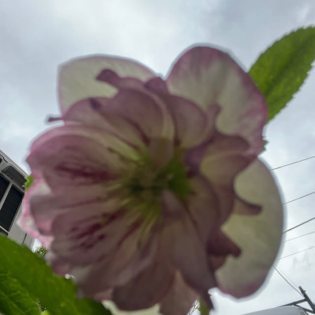 EMIKOさんの部屋