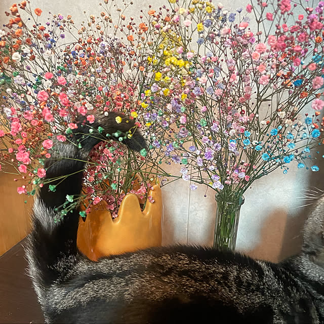 yumiさんの実例写真