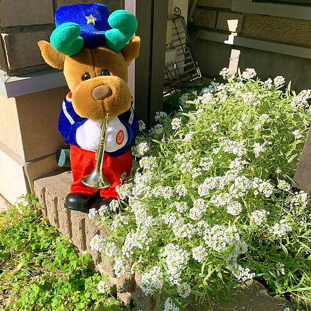eshinobumさんの実例写真