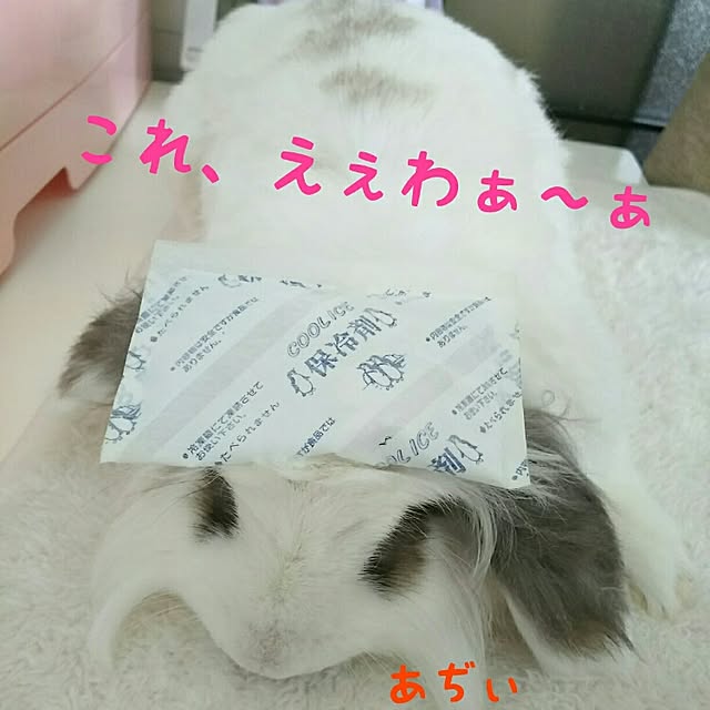 WASABIさんの実例写真
