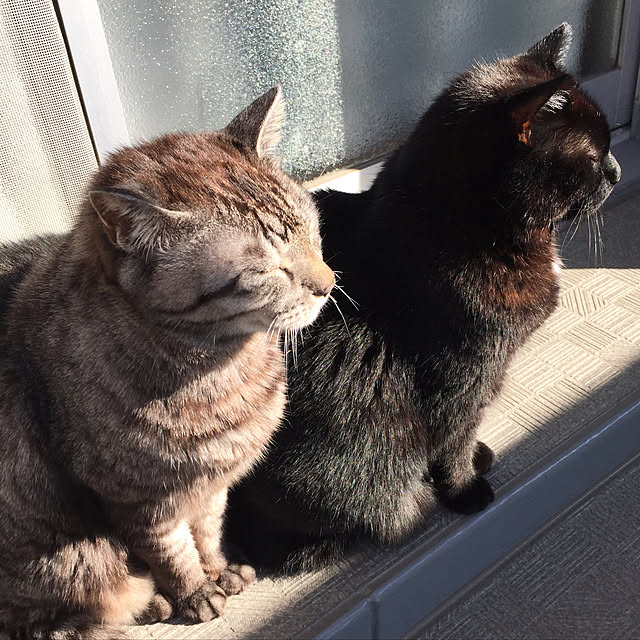 sachiさんの実例写真