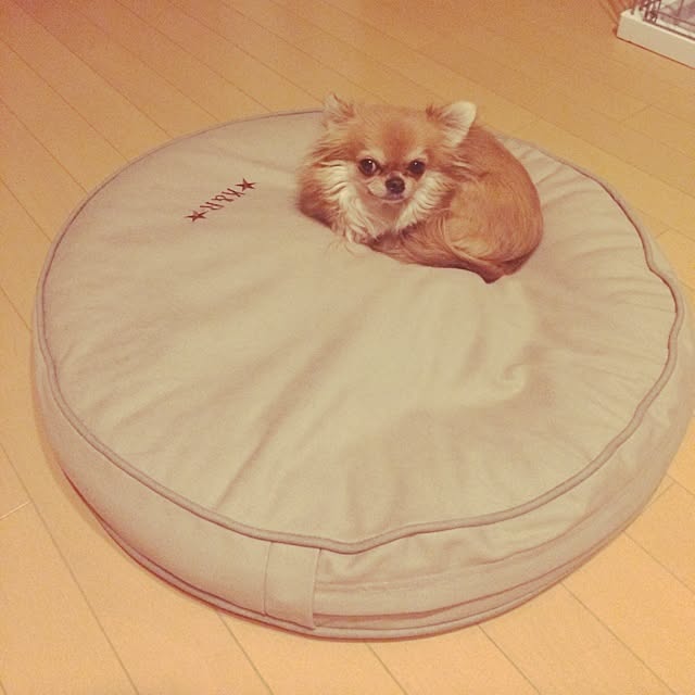 kukuruさんの実例写真