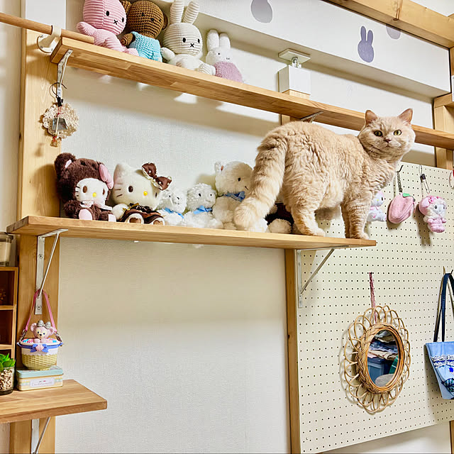 naokoさんの部屋