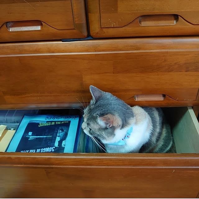 fukuさんの部屋