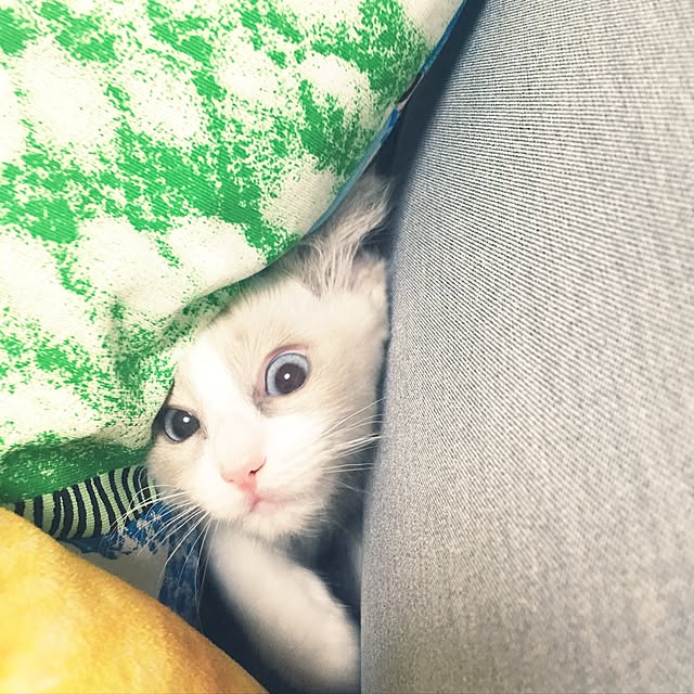 rbesfさんの実例写真