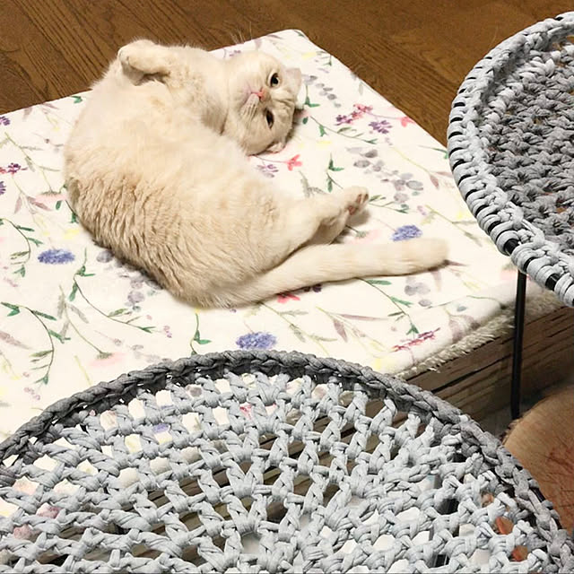 siyu2119さんの実例写真