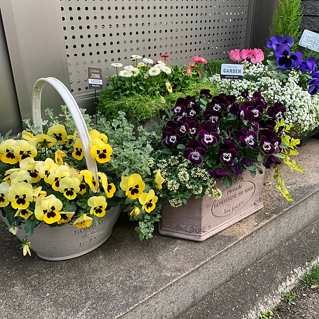 maayaさんの部屋