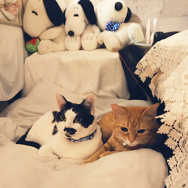 asuminさんの実例写真