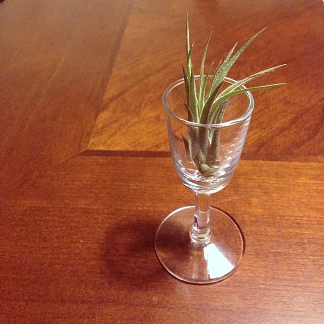 maromikiさんの実例写真