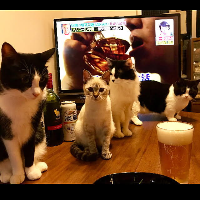 butachanさんの実例写真