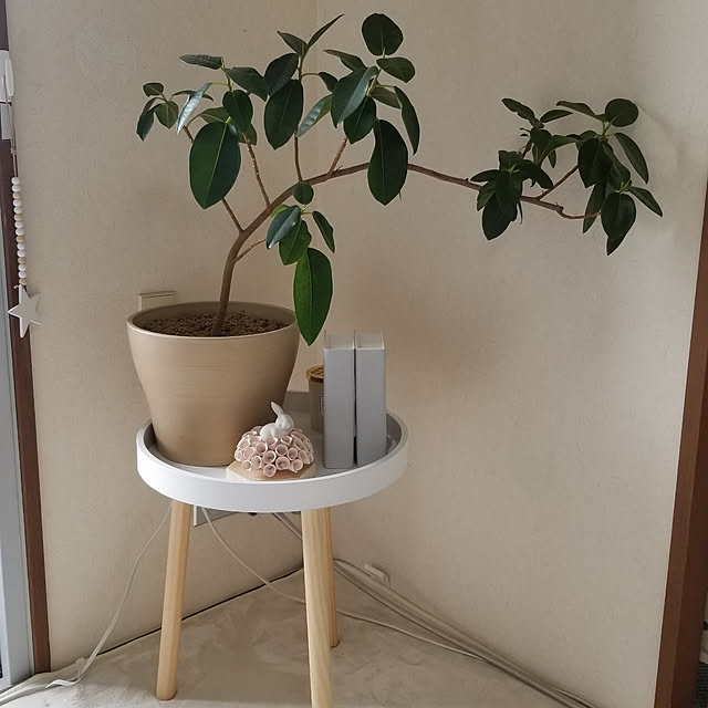 ...t_m_eee...さんの実例写真