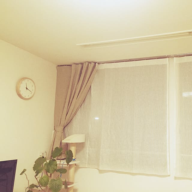 MCIUKIさんの実例写真