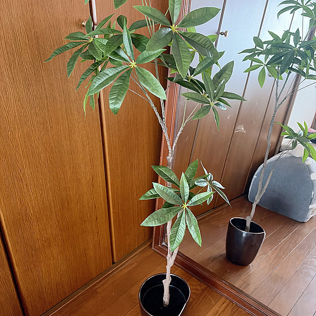 mipoさんの部屋