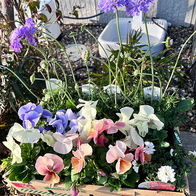 xevo_0919さんの実例写真