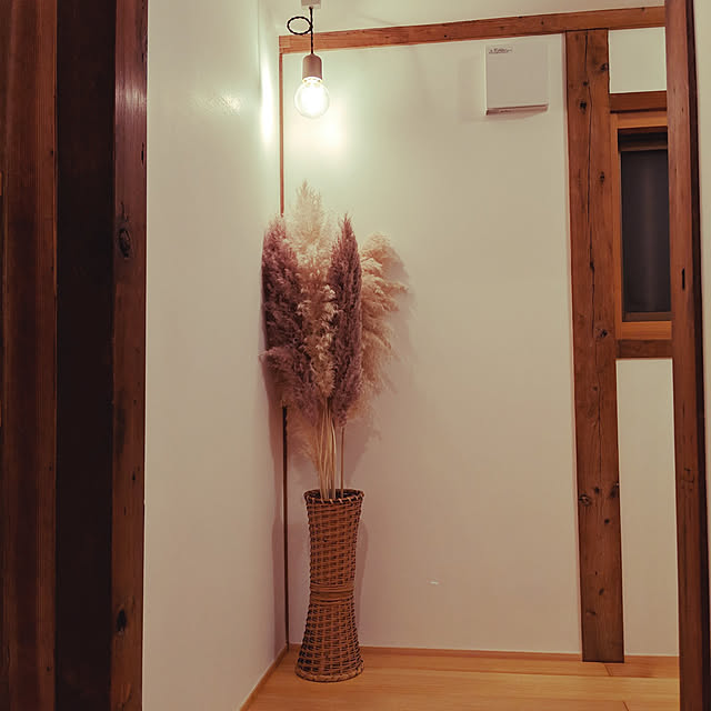 emu7miさんの実例写真