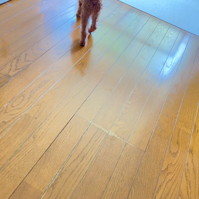 Sakikoさんの実例写真