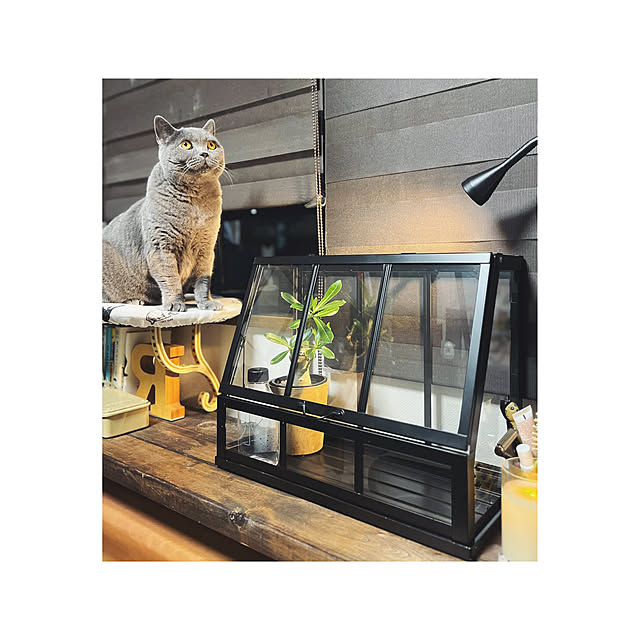 BTGさんの実例写真