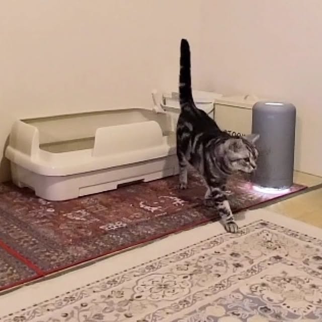 lovepeaceさんの実例写真