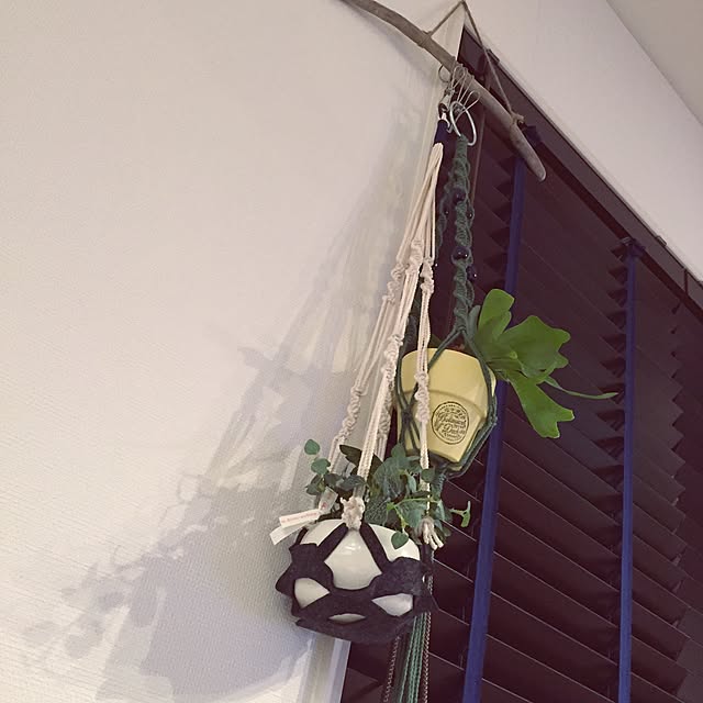 mycoさんの実例写真