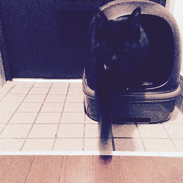 Naoki.さんの実例写真