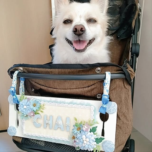 PAOさんの部屋