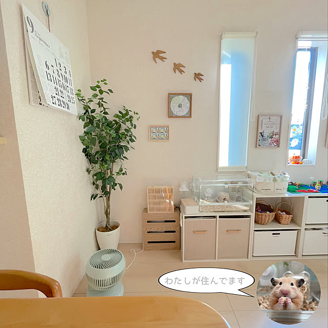 Minoriさんの実例写真