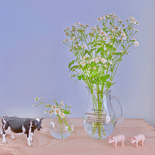 tokoさんの実例写真