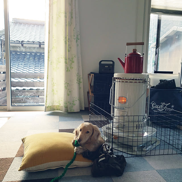 ciiiさんの実例写真