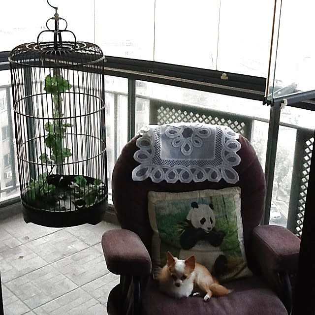 Sangoさんの実例写真