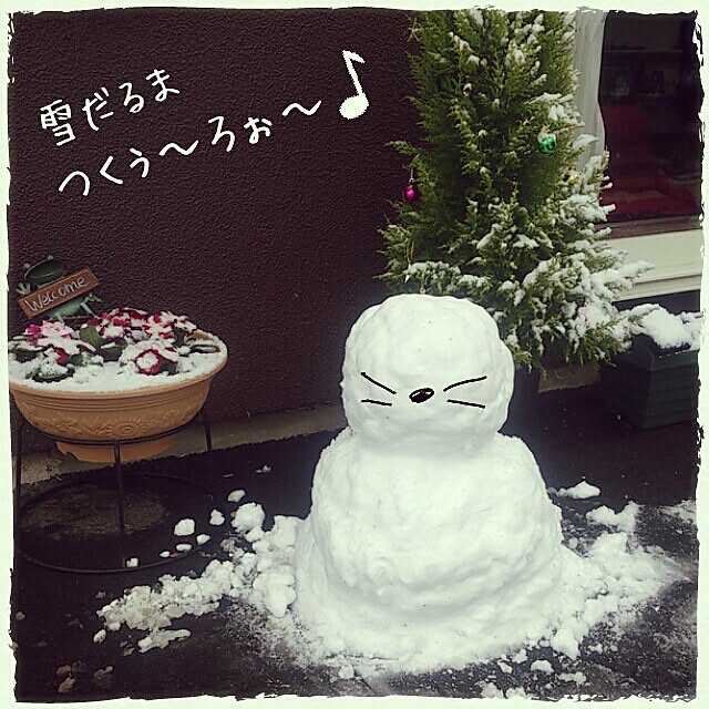 miiさんの実例写真