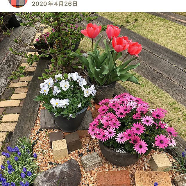 nobikoさんの部屋