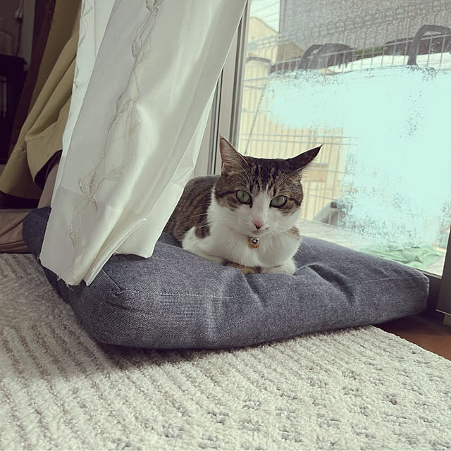nacchi4さんの実例写真
