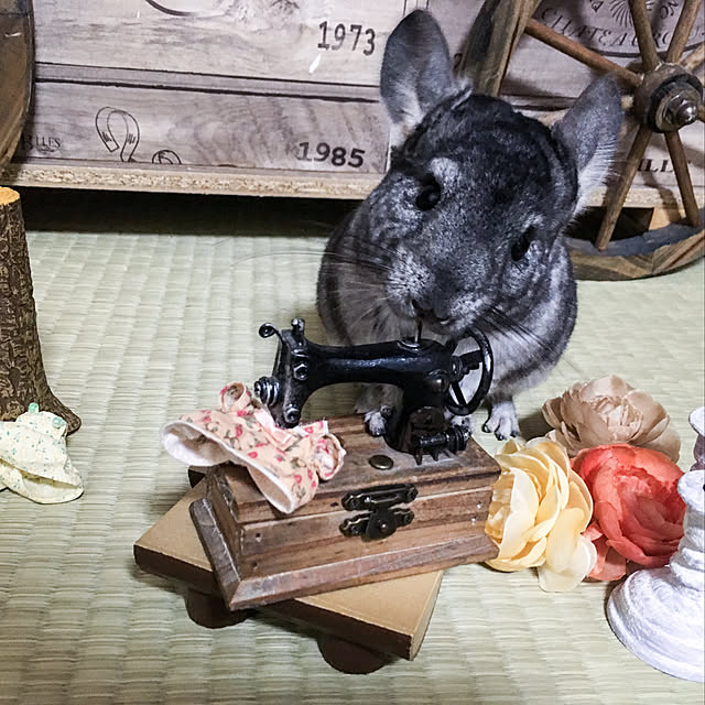 bambiさんの実例写真