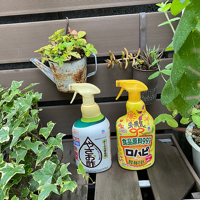 chIoeさんの実例写真