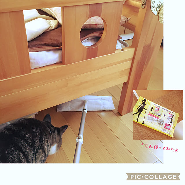 kimikimiさんの実例写真