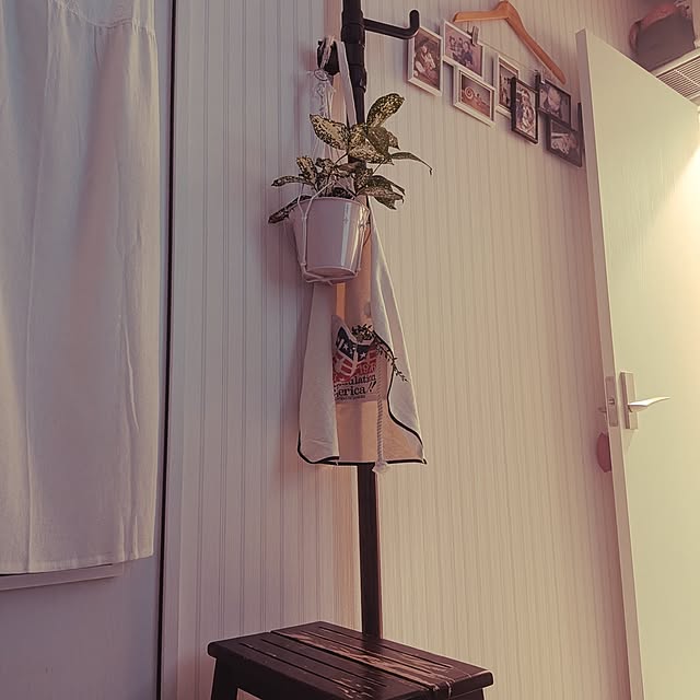 rsim+kmymさんの実例写真