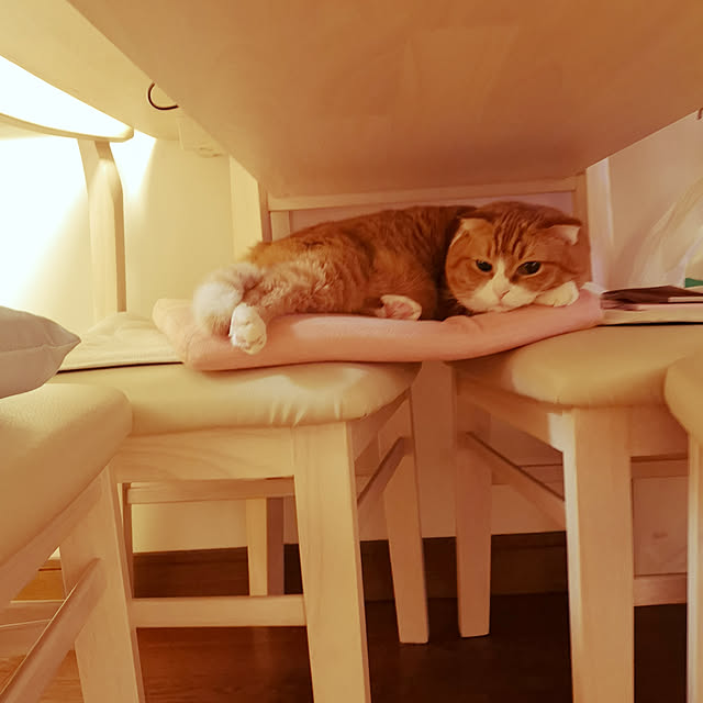 kumingさんの実例写真