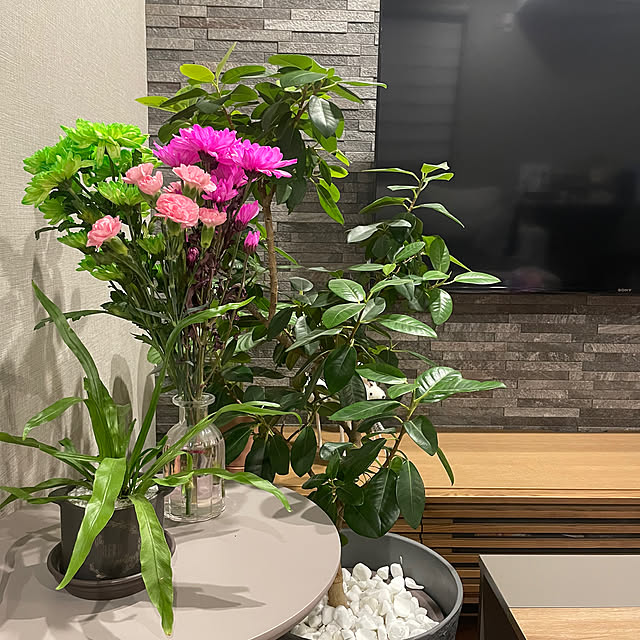 ikuzakさんの部屋