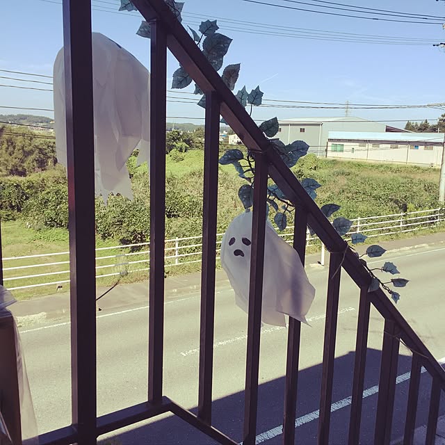 実例写真