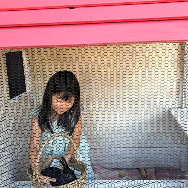 nekosamaさんの実例写真